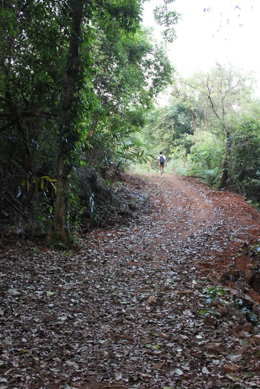India 2010 - Coorg - Honey Valley - Trek to the Swimming Hole